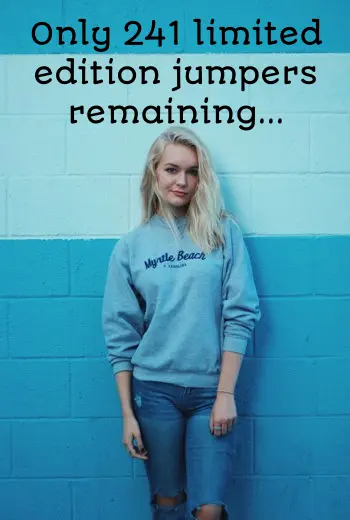 Limited edition jumper stock example - rendered image