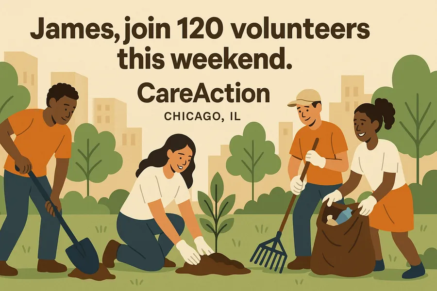Non profit org Chicago Volunteer Weekend