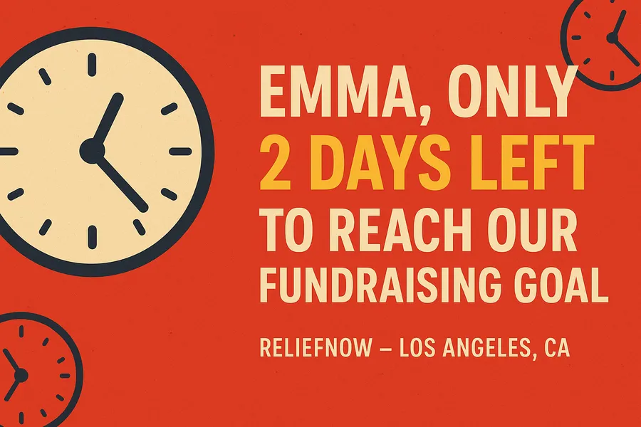 Non profit org Urgent Fundraising Countdown